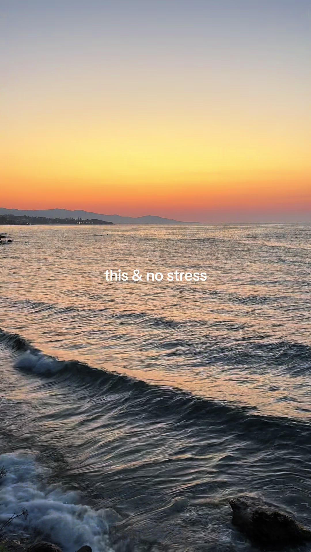 @laura