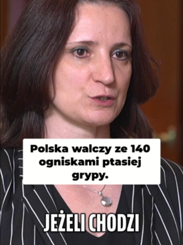 @PPTV