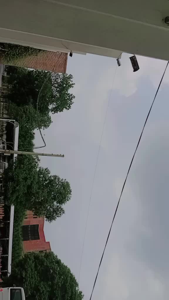 @⚘️ بجلی ☘️