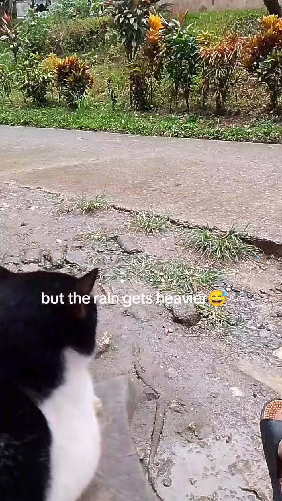 @🇹 🇴 🇽 🇮 🇨🎭 🇾 🇦 🇲 🇿