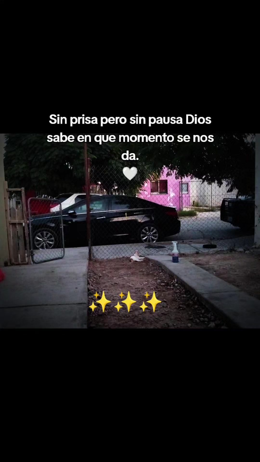 @Daimich💗🇲🇽🇲🇽