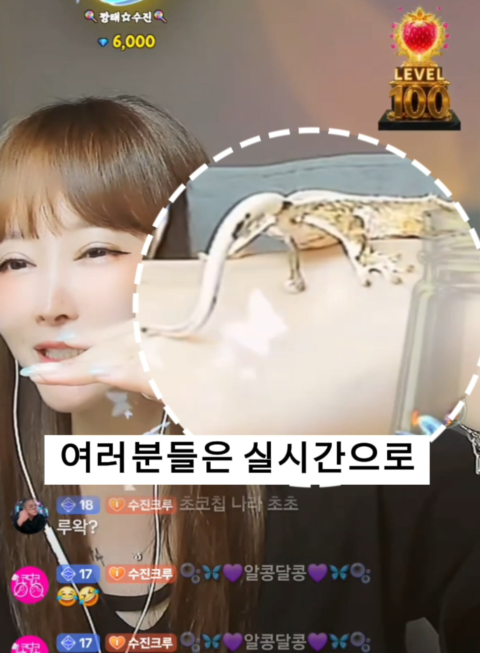 @๐ญsujinโ์์ง๐ญ