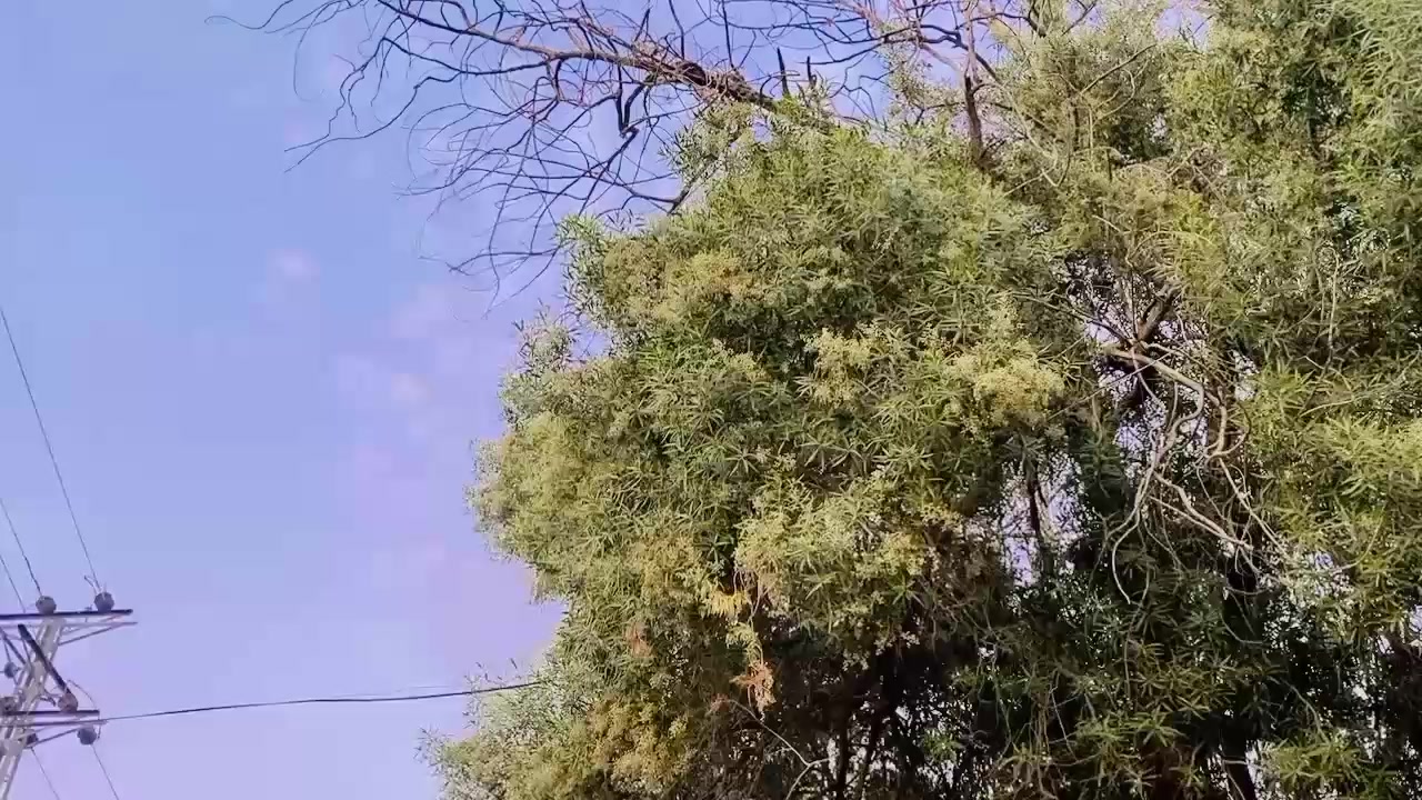 @akhtiyarmallah๐
