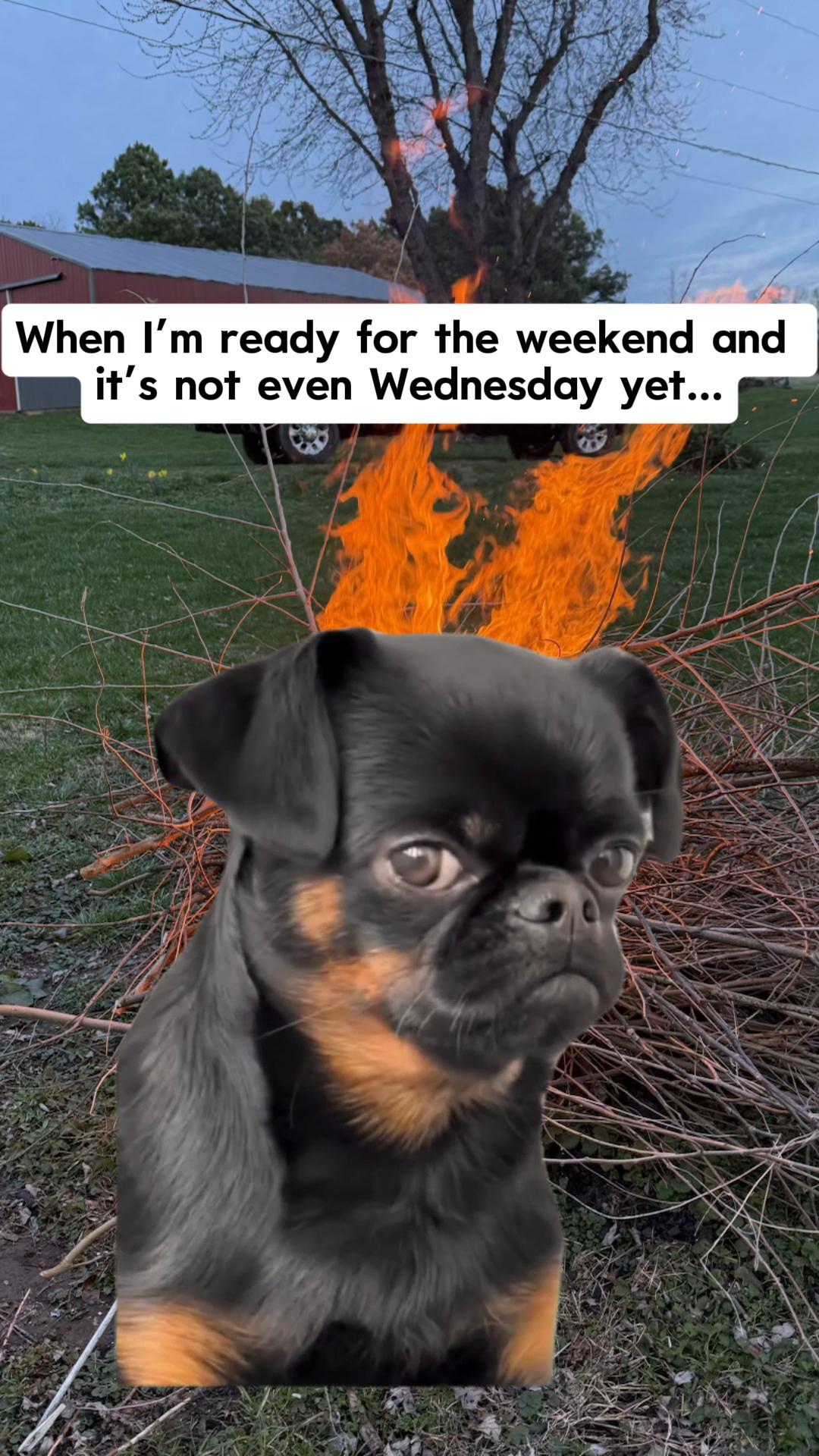 @Raymondjenkins96
