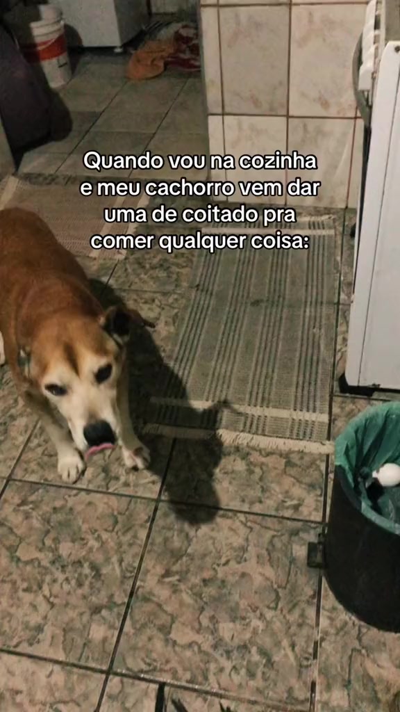@Kaio França