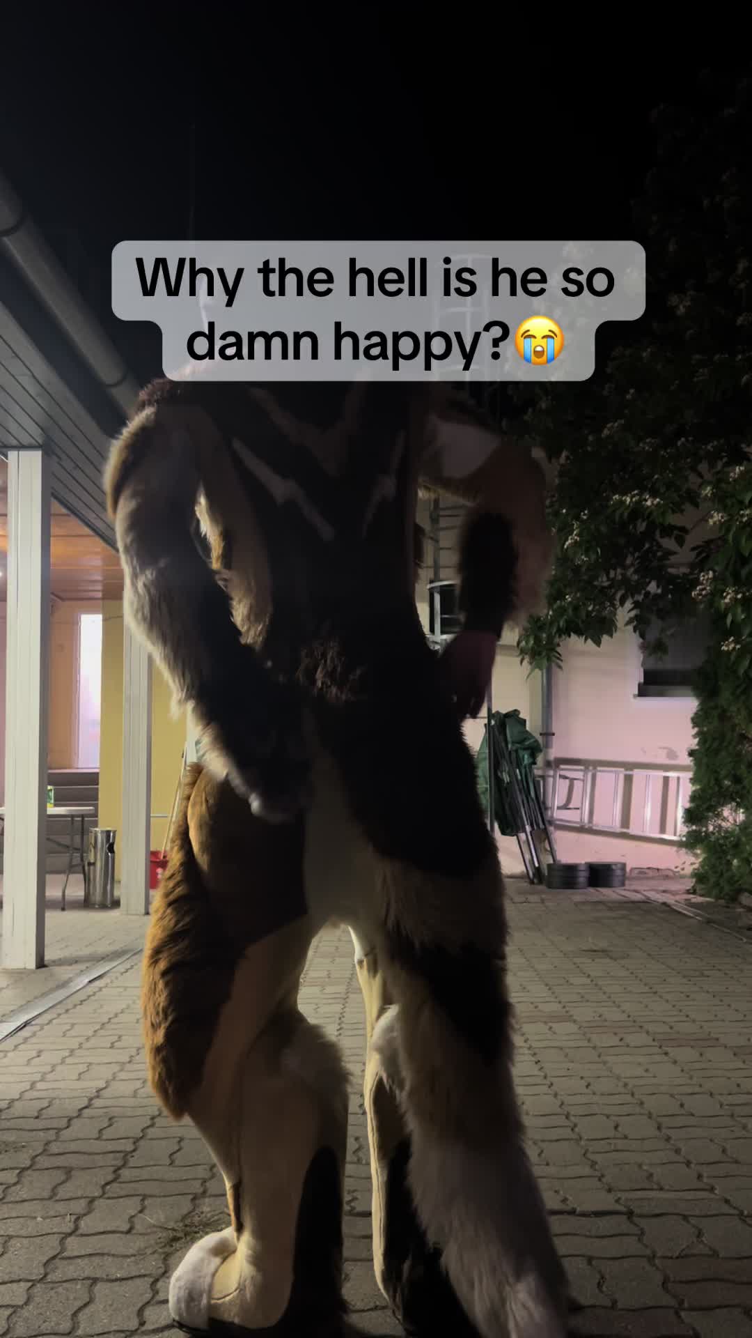 @untamed_mink_guy