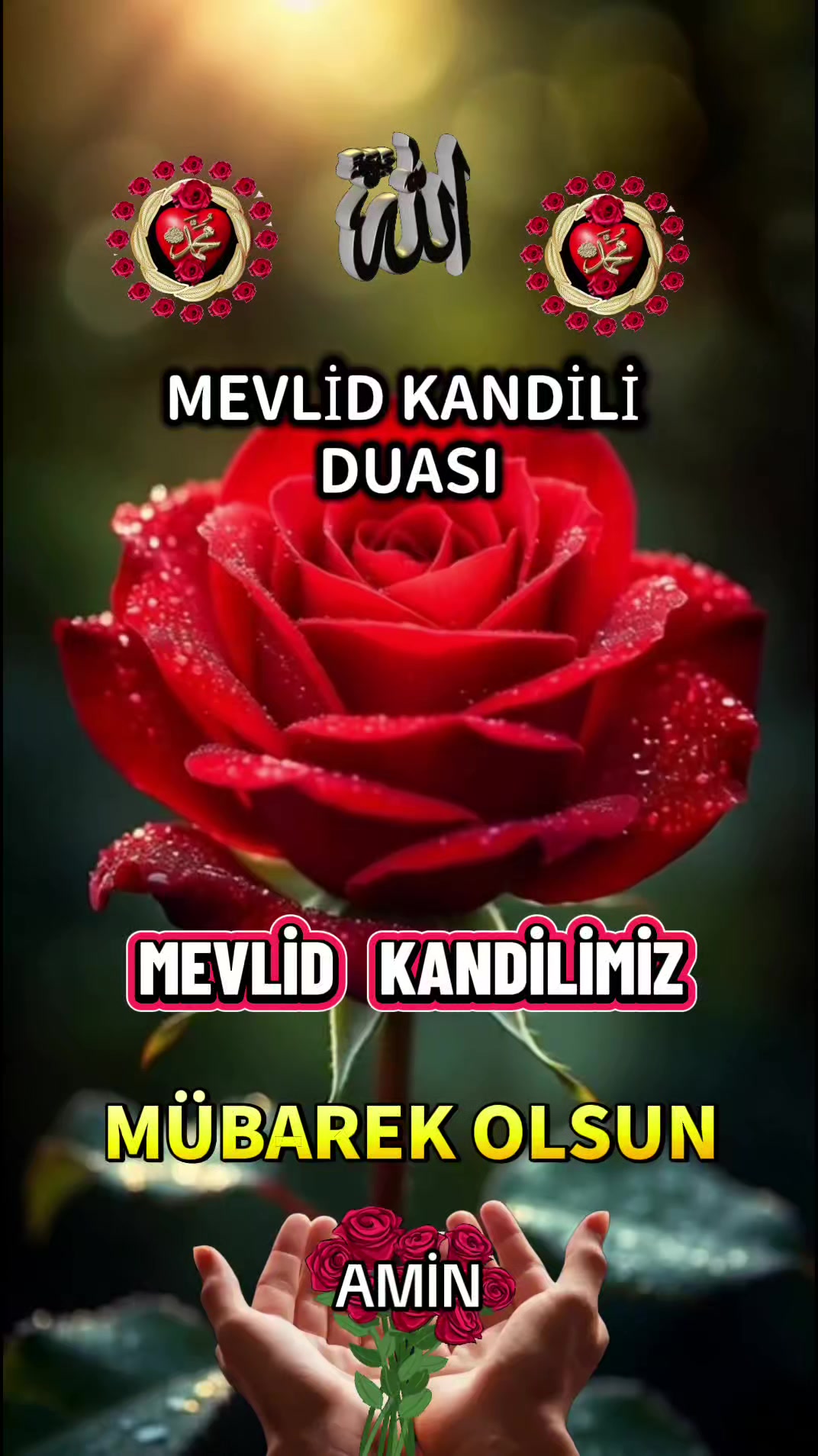 @@hayatsevinceguzel5537