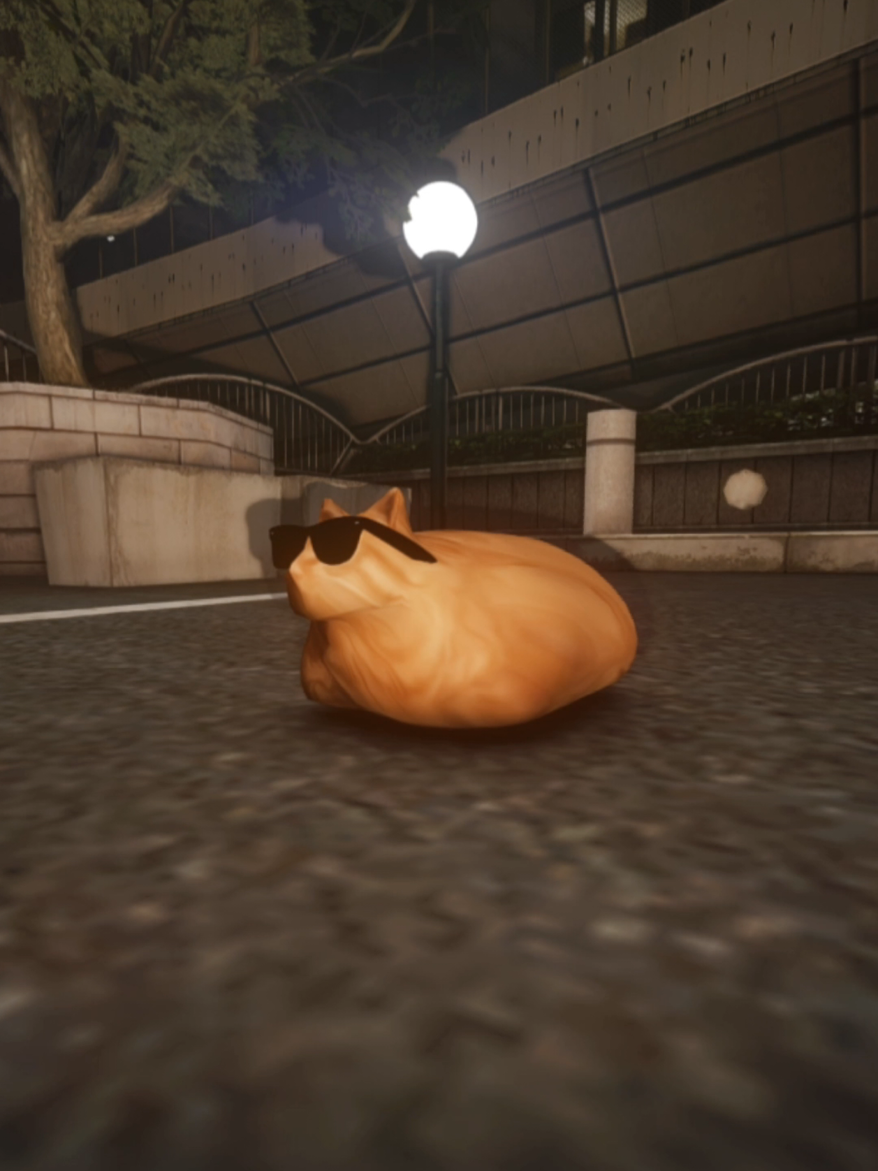 @Pablo the Race Cat