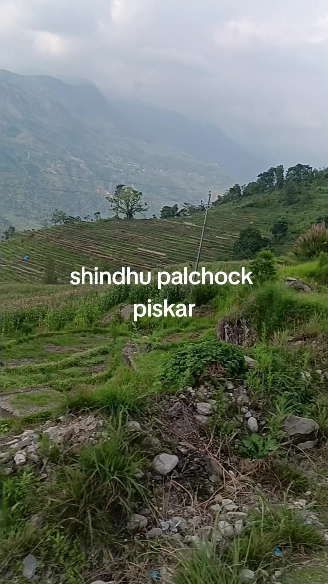 @thapasuresh748