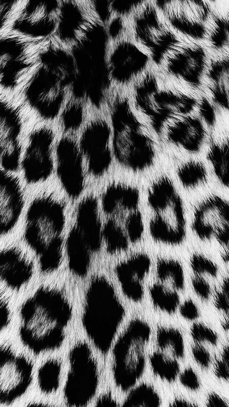 @͜͜ 𝜗୧ ݂ ˖ ⑅ vera ۫ .🦇⊹