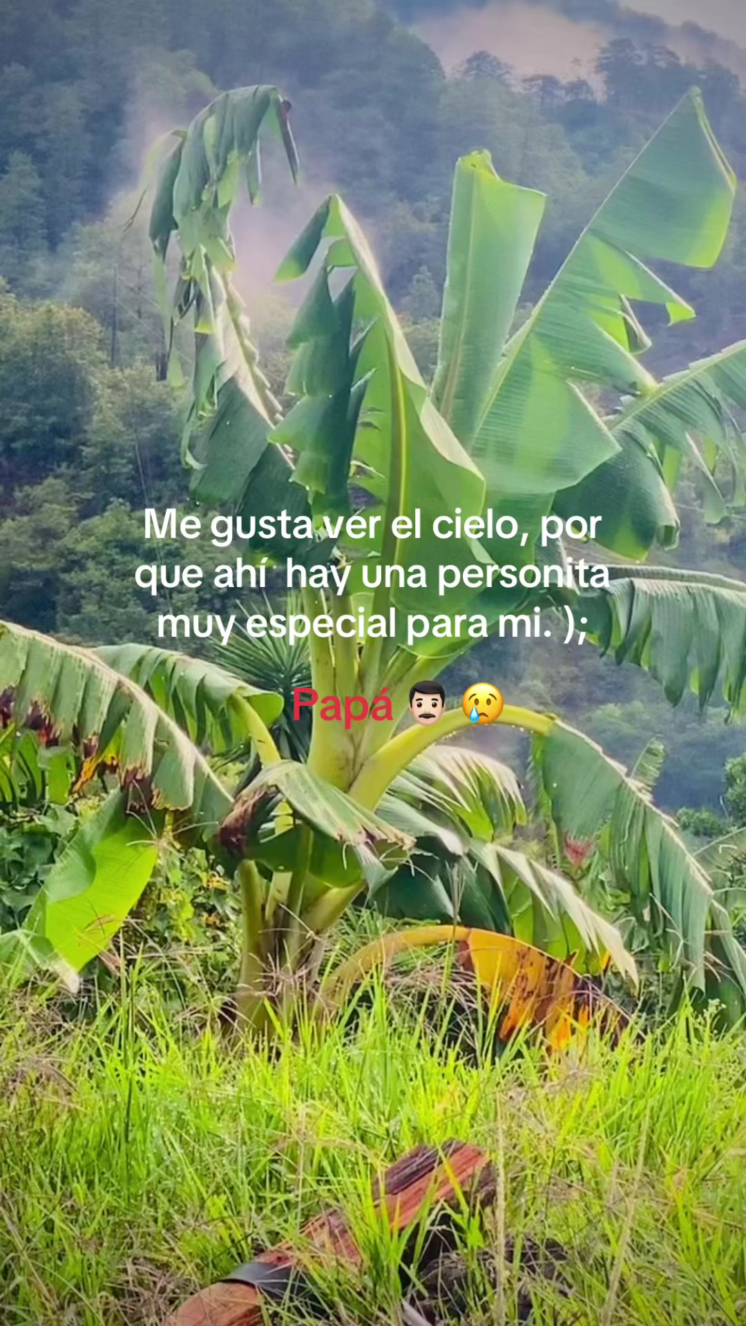 @🍒Genesis 