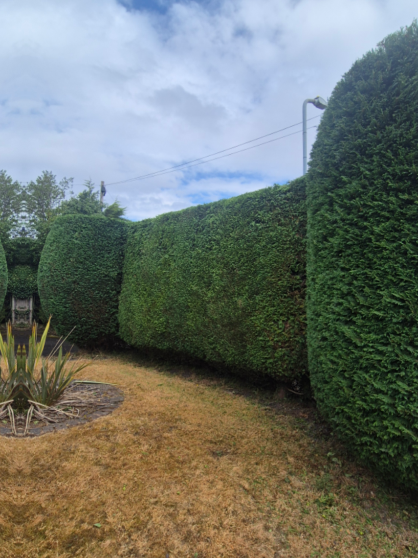 @AMC Garden Services
