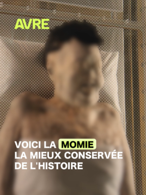 @AVRE
