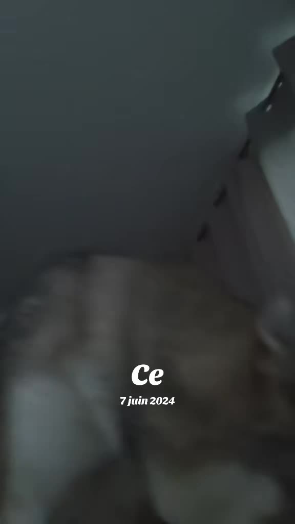 @🐺🐺❤