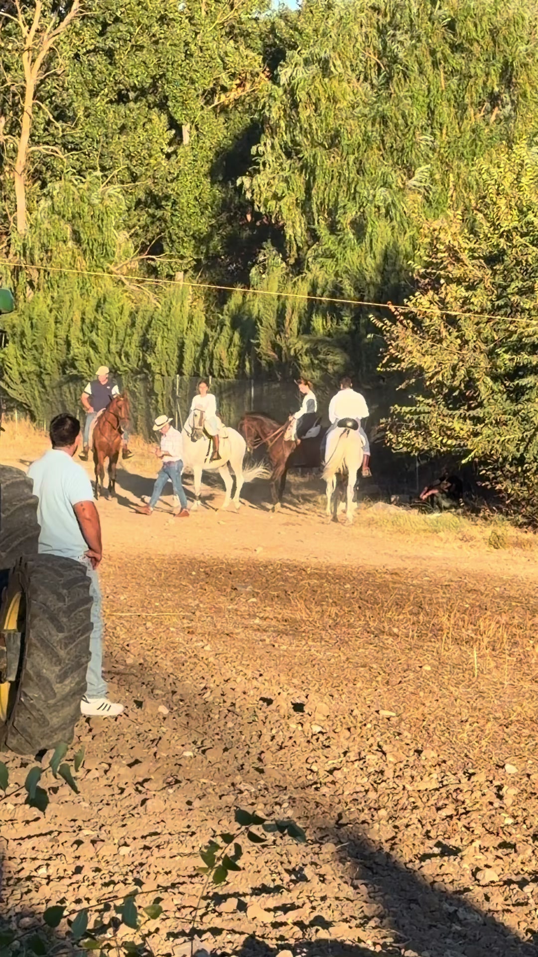 @Sandra Molina🐎🇪🇸