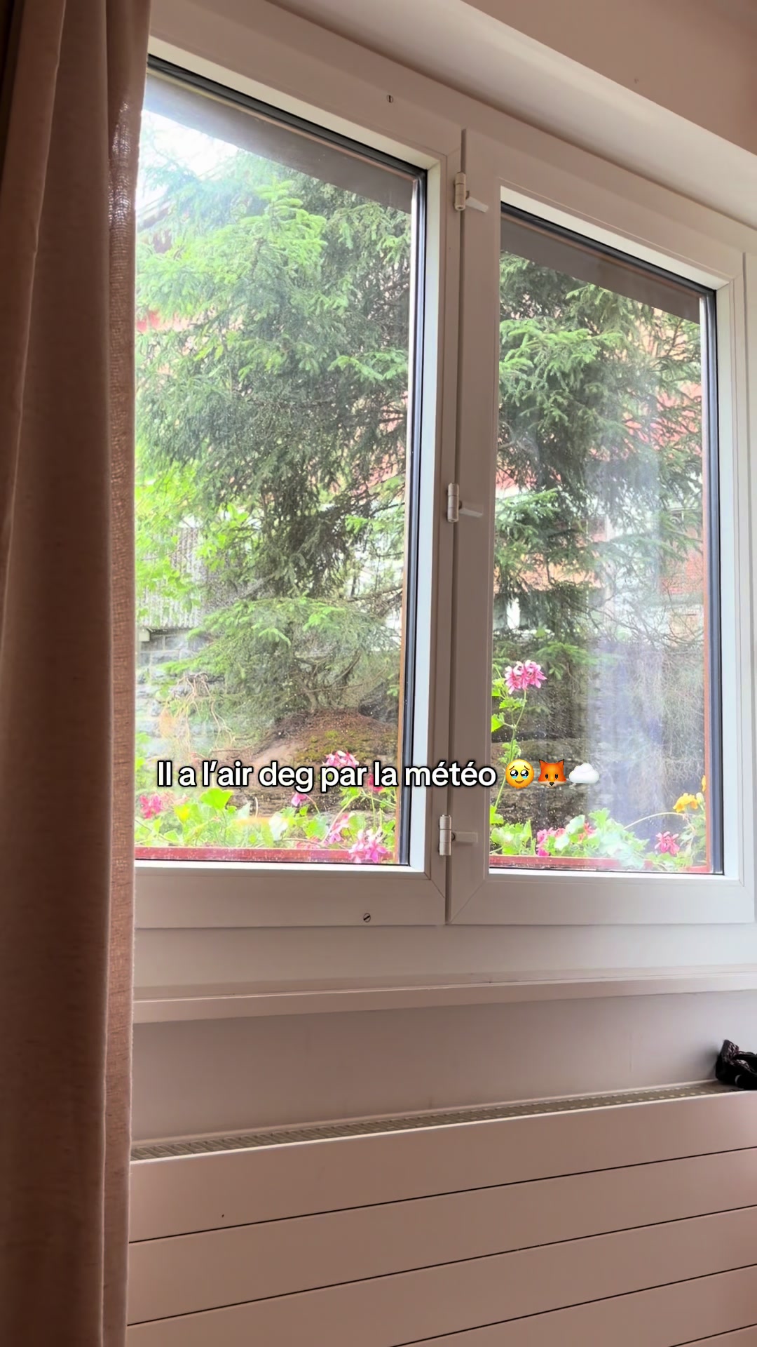 @ChezClacla🦊🇨🇭