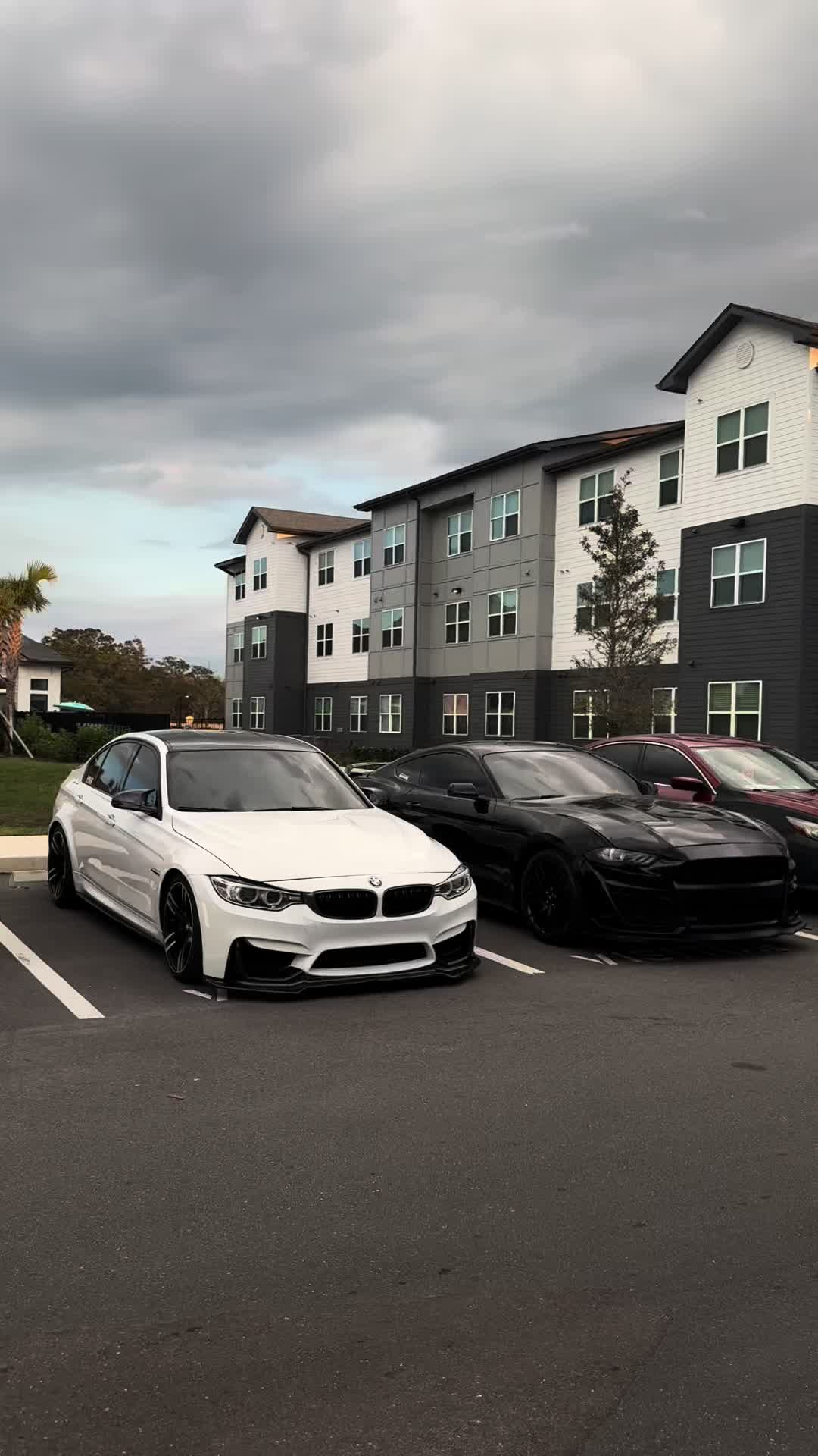 @f80andy_