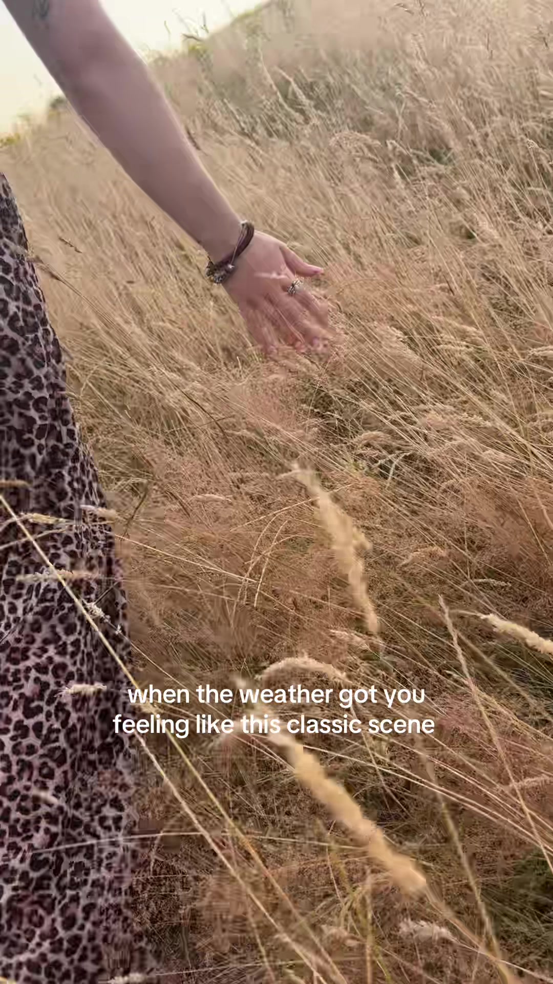 @ameliataylor
