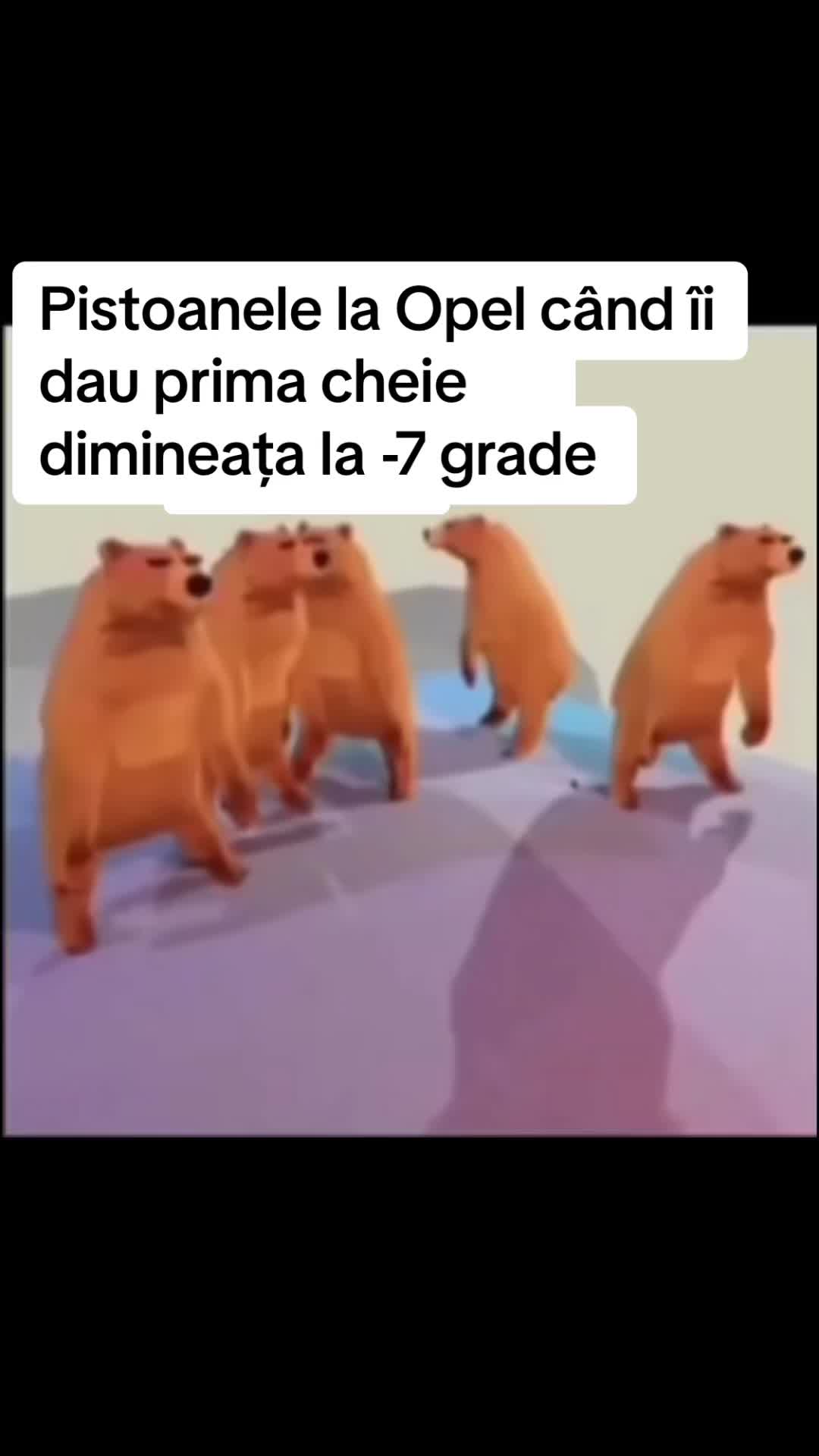 @𝕆𝕝𝕒𝕣𝕦 𝔸𝕟𝕕𝕣𝕖𝕚
