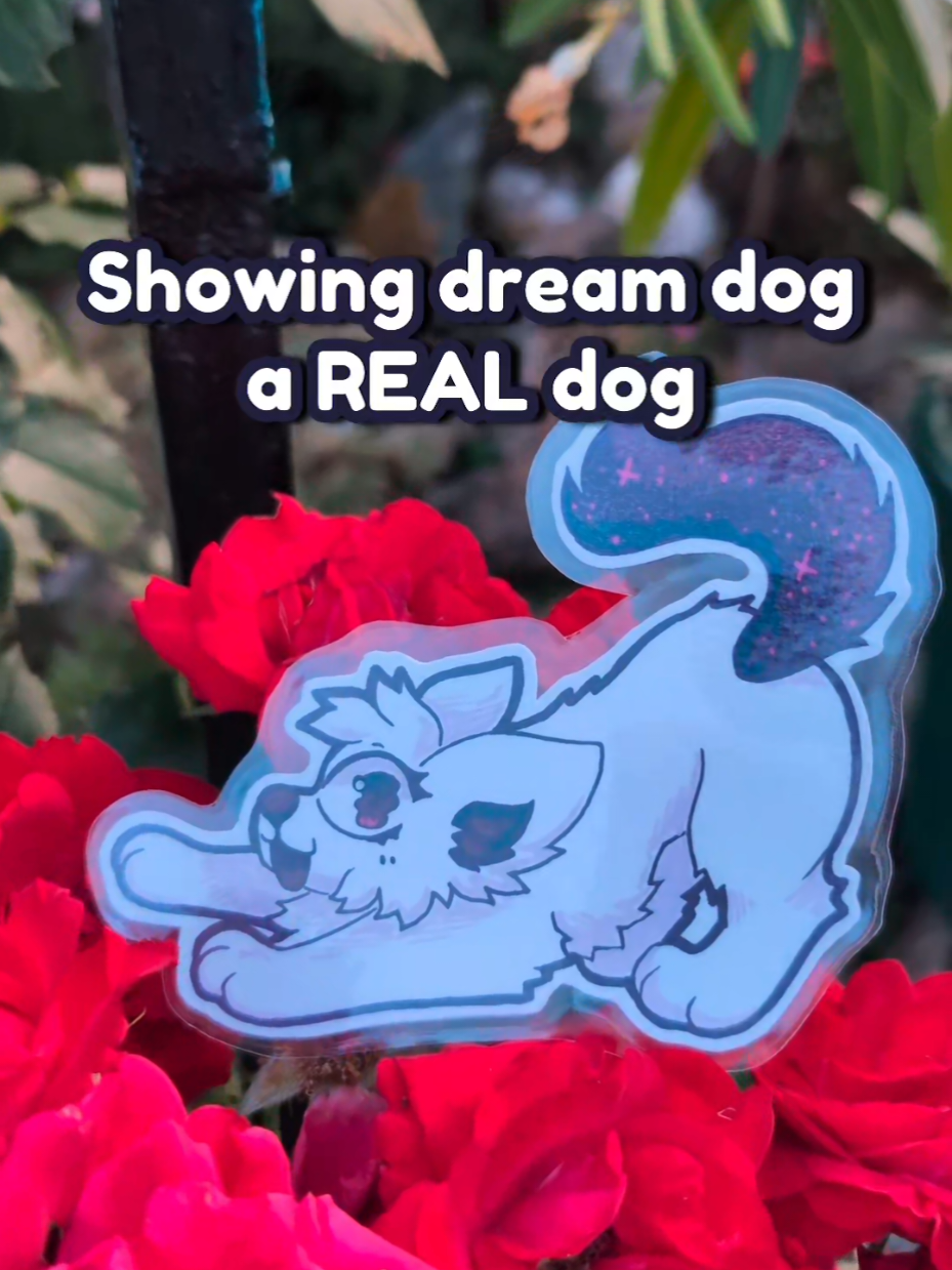 @Psychedelipup