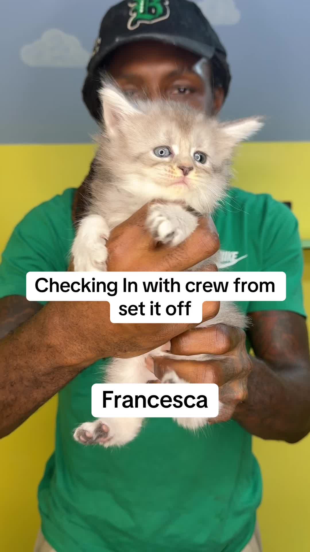 @Tycoon_Mainecoons
