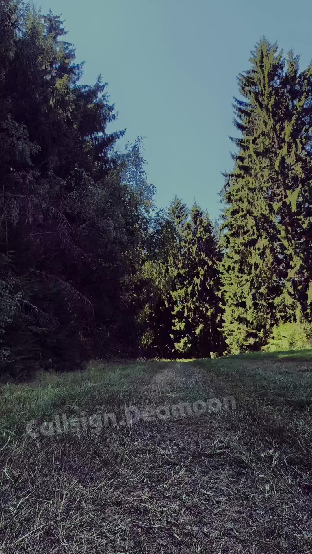 @Deamoon