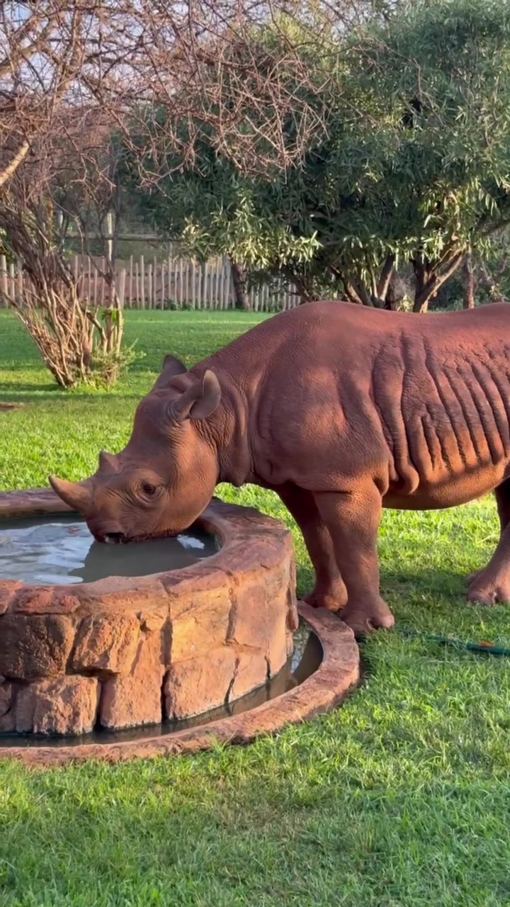 @SheldrickTrust
