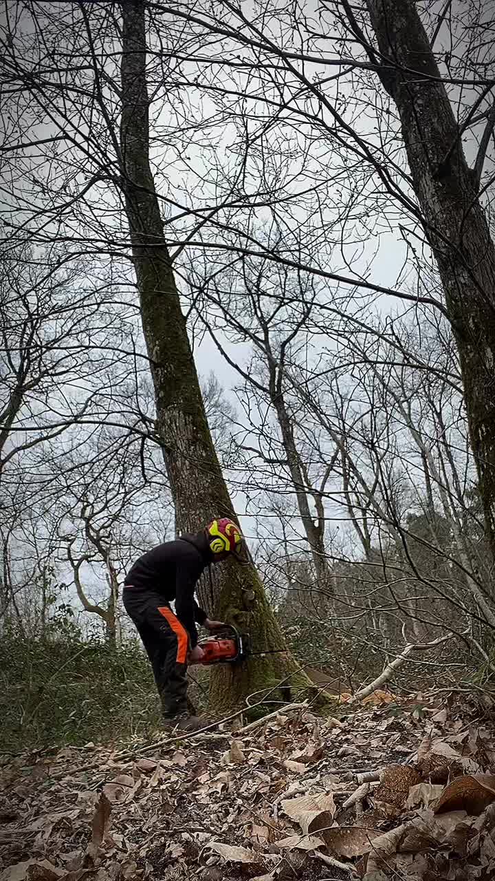 @Nashouille_tackle