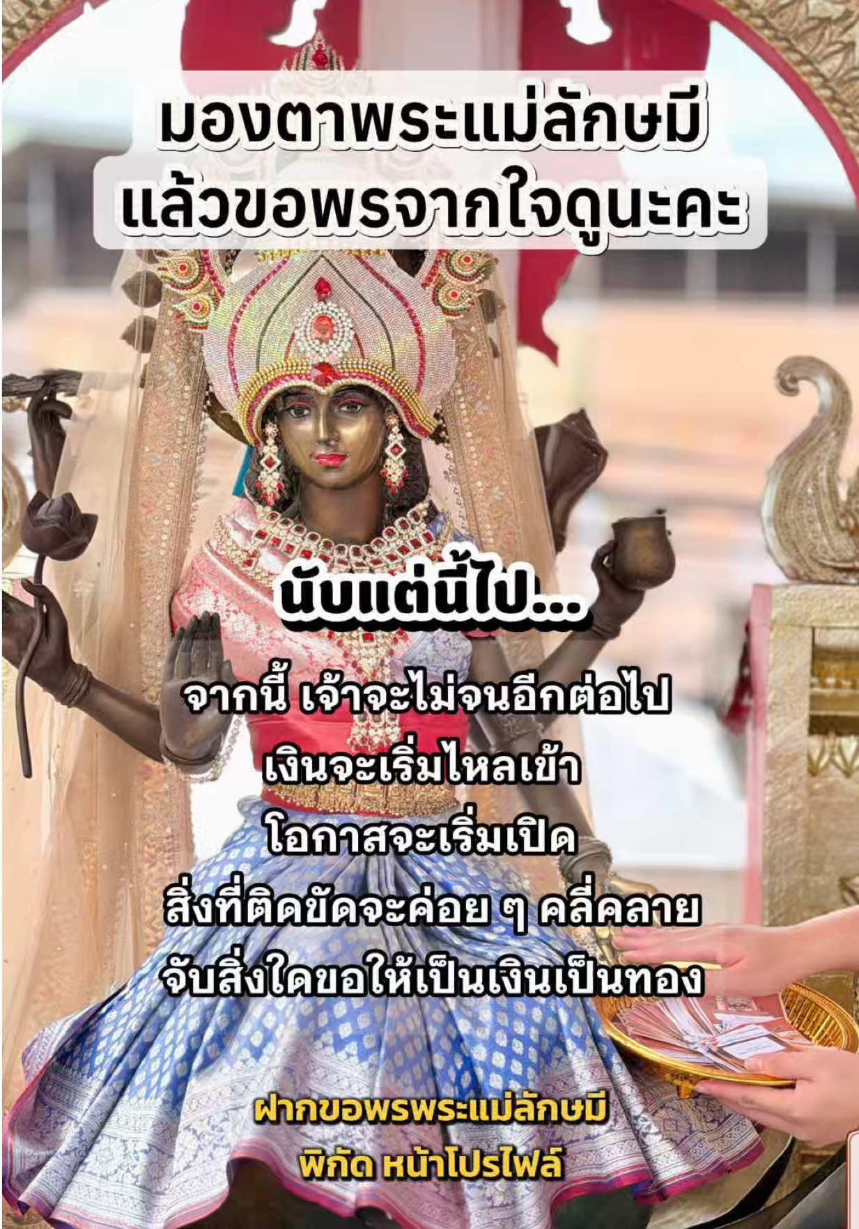 @มามู ออนไลน์ - ฝากไหว้ขอพร