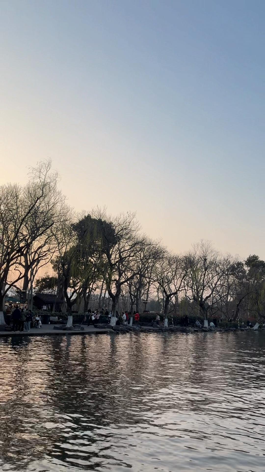 @金丽阳