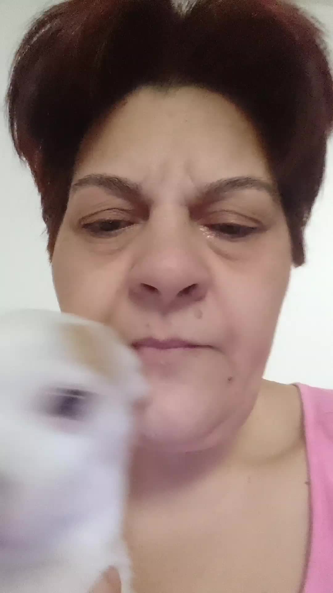 @Lucia Guadagno
