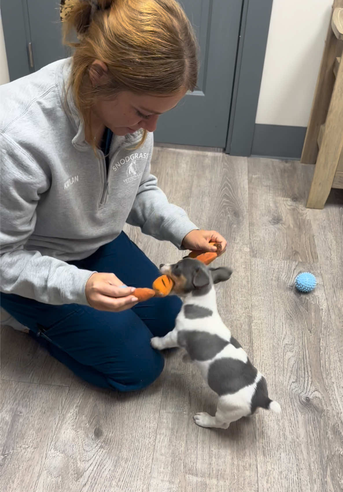 @Snodgrass Vet
