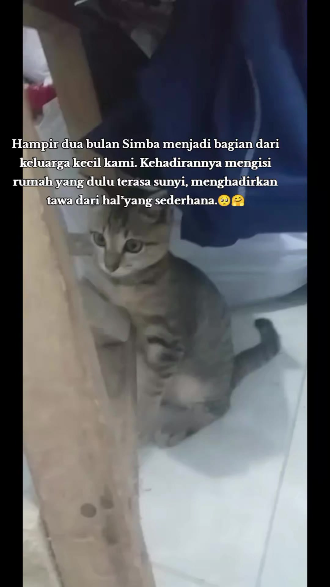 @Lina herlina