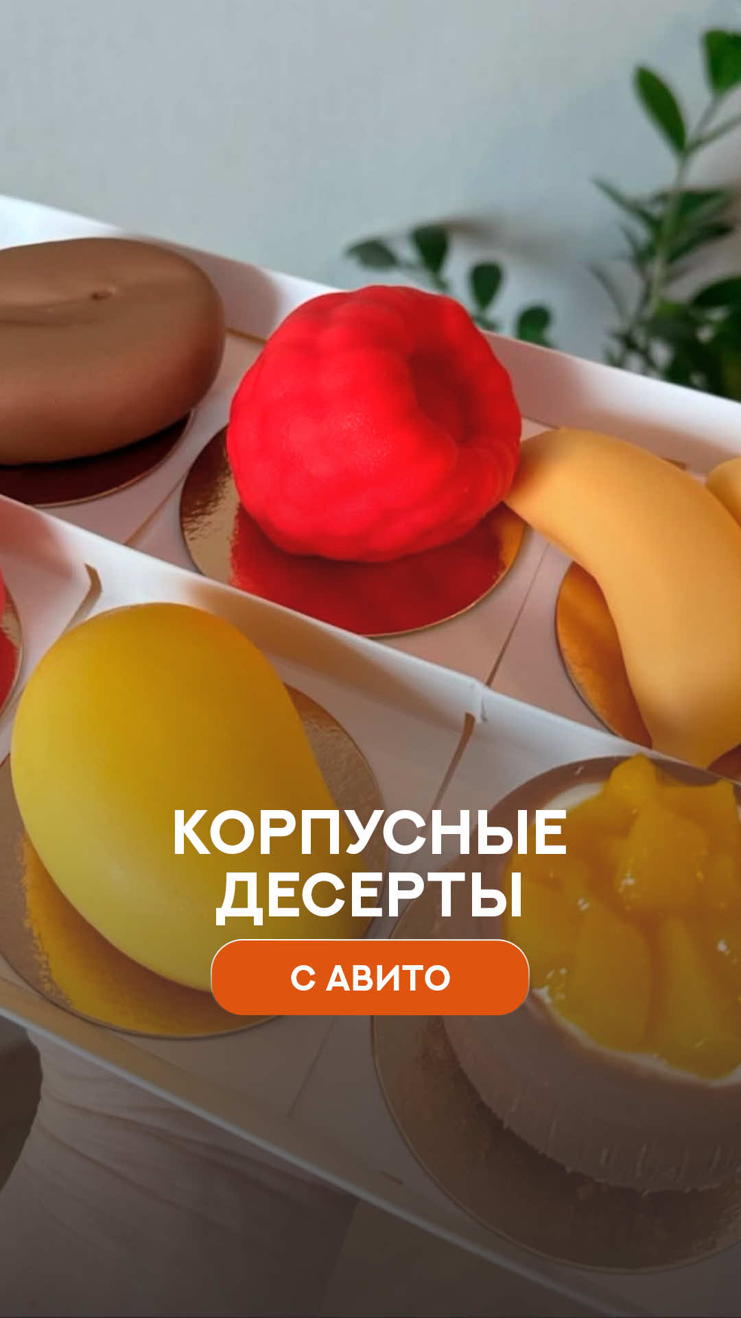 @Блик &mdash; про Хабаровск