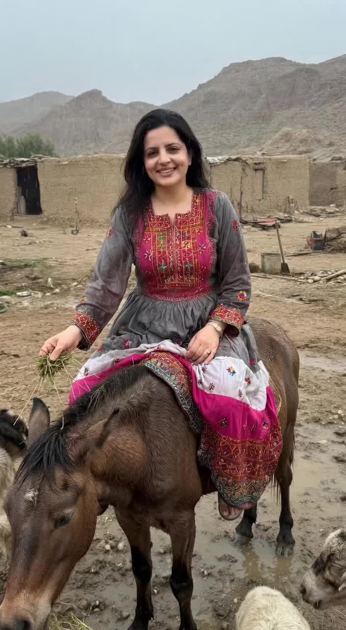 @Gul Pari Baloch