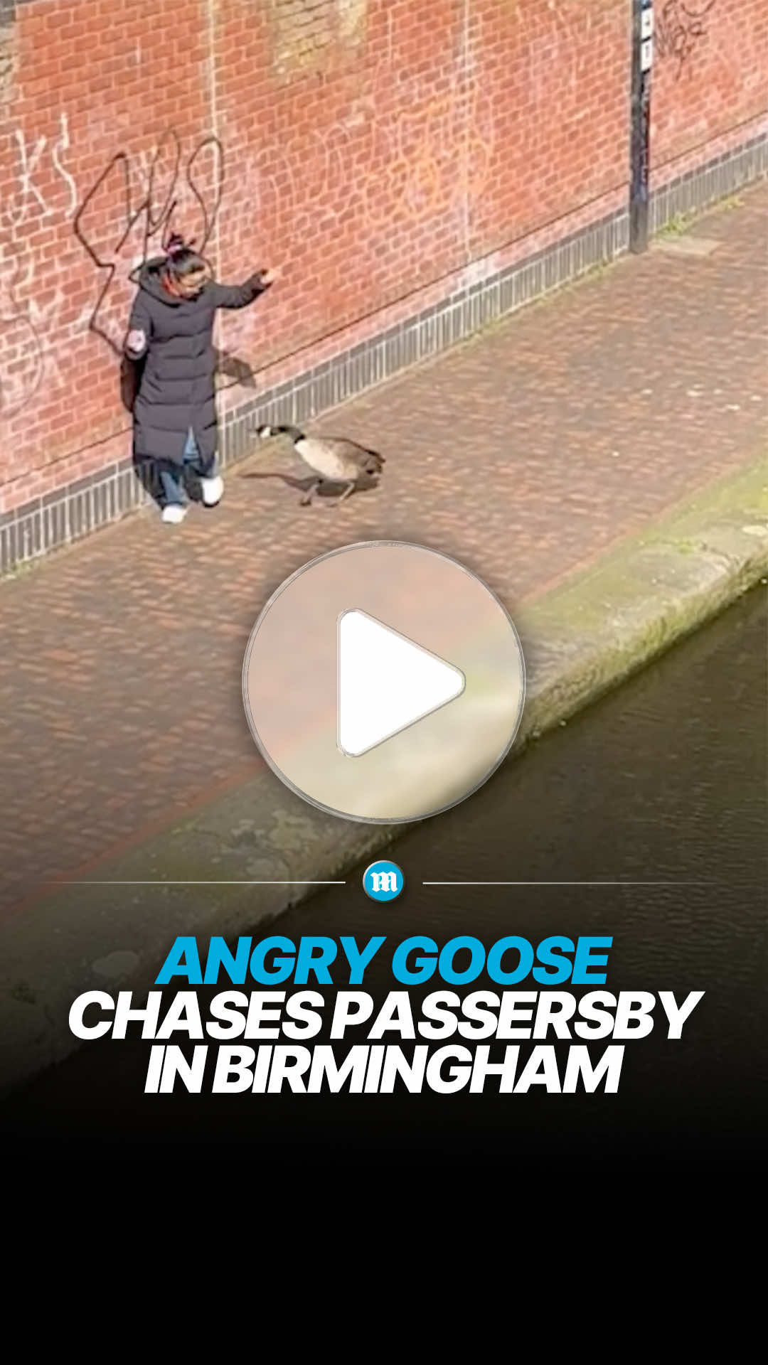 @Daily Mail UK