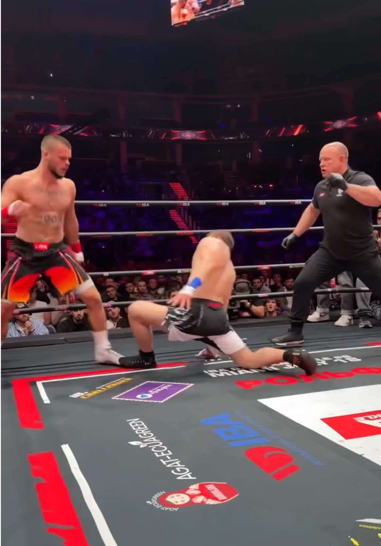 @FightingLab