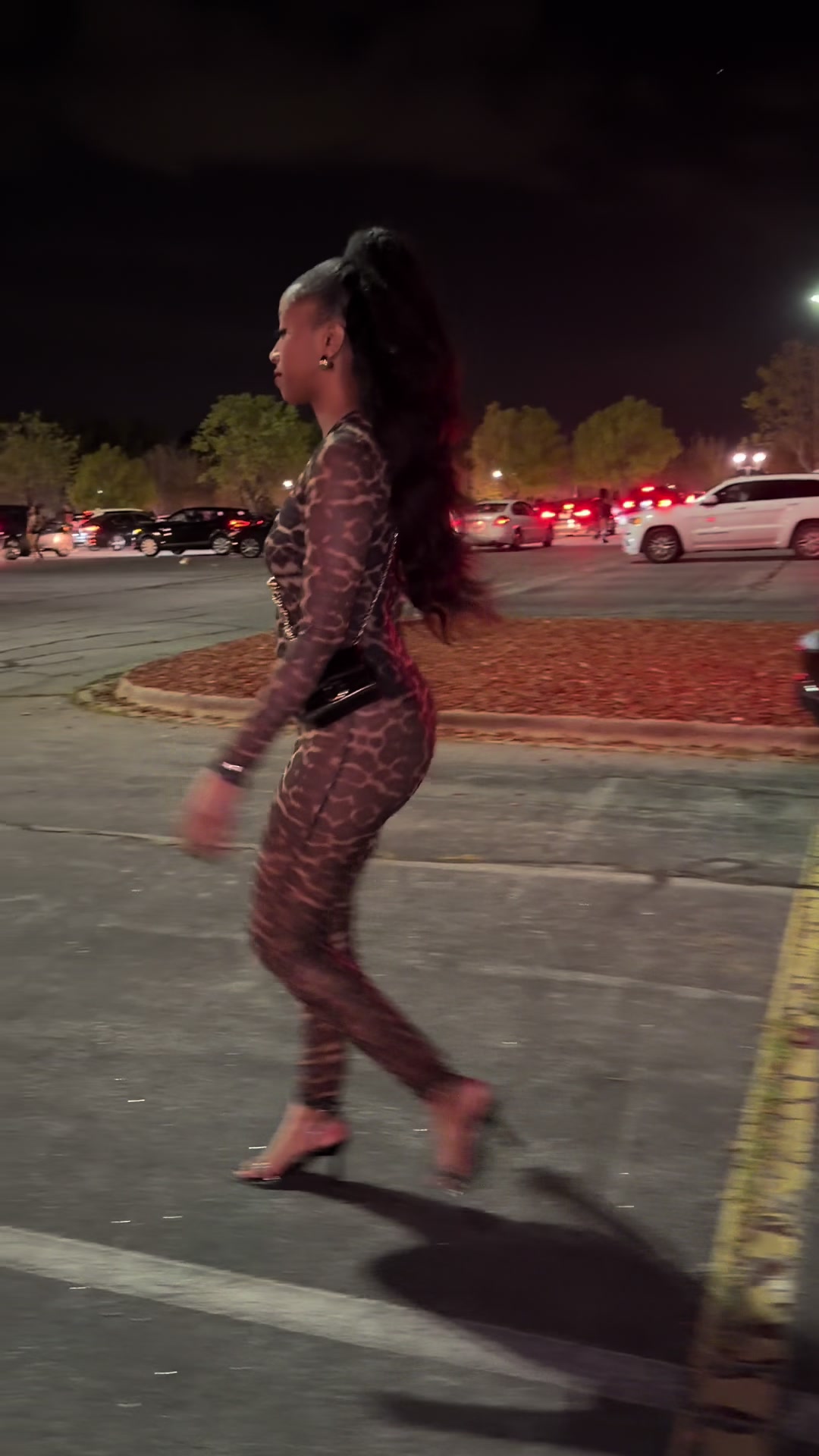 @chant&aacute;e