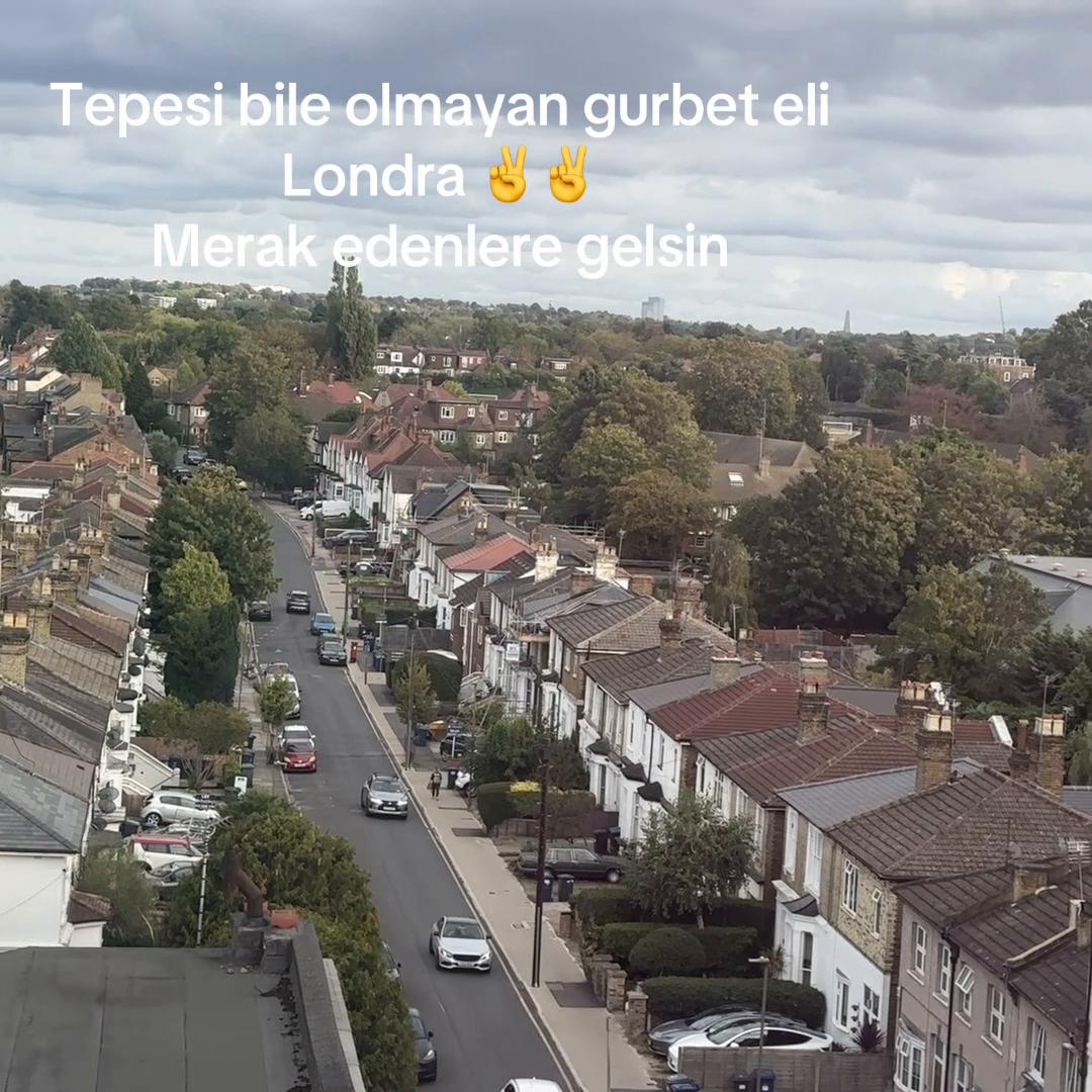 @Birsel mircikmameki62