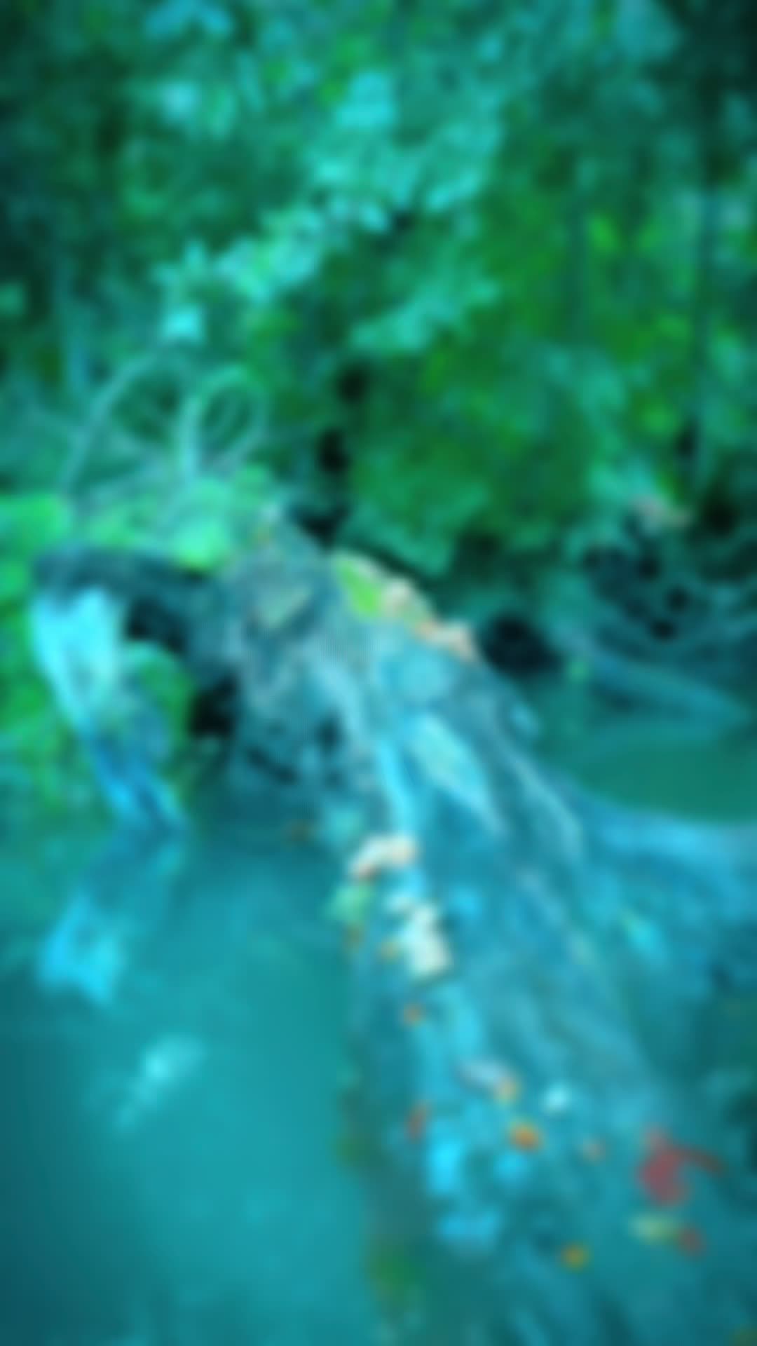 @ᛑᛗᛛGeeVeeᛑᛗᛛ