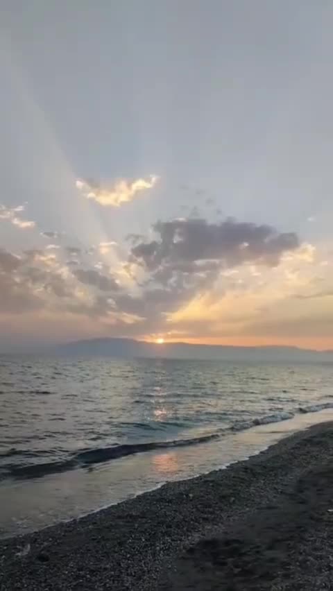 @MeryCat