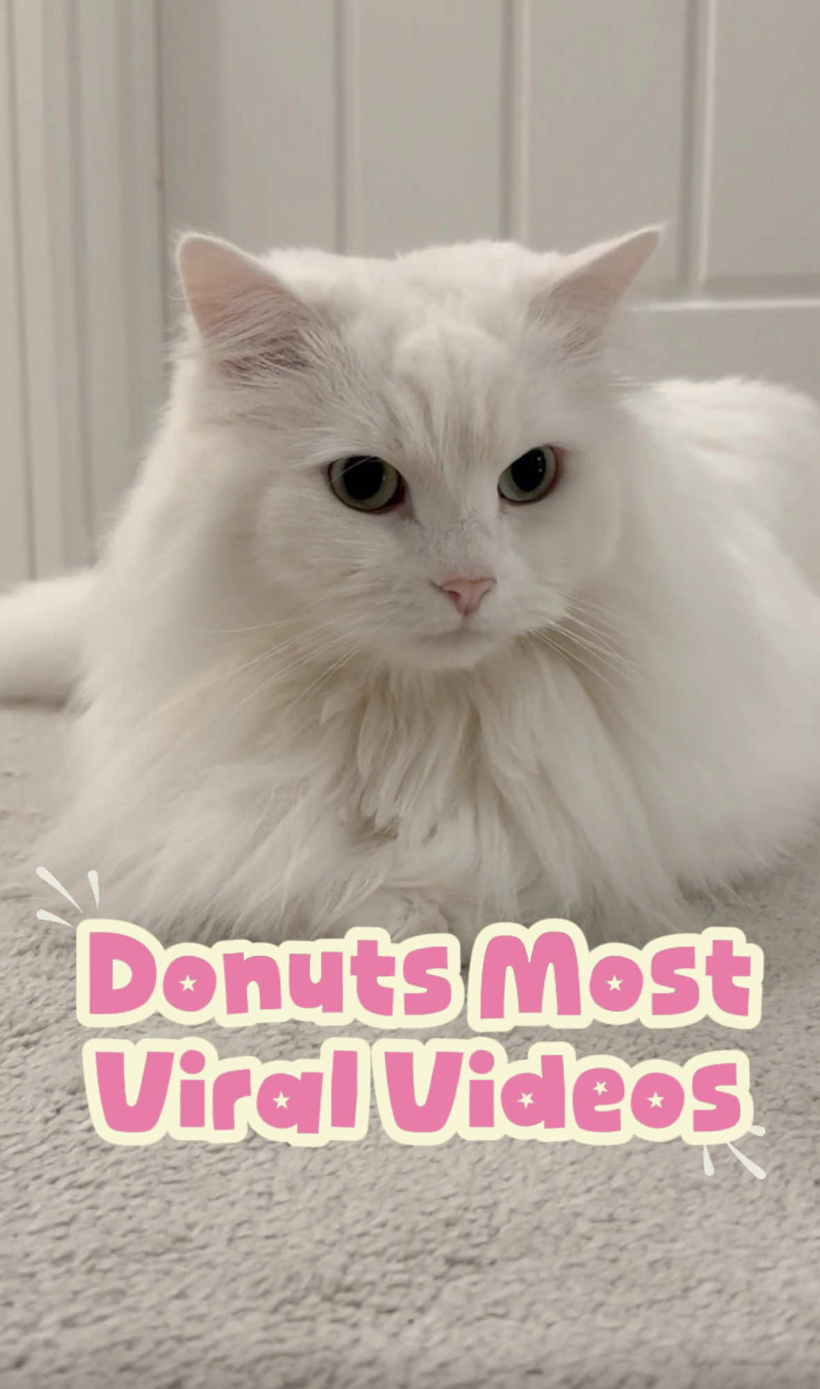 @Donut
