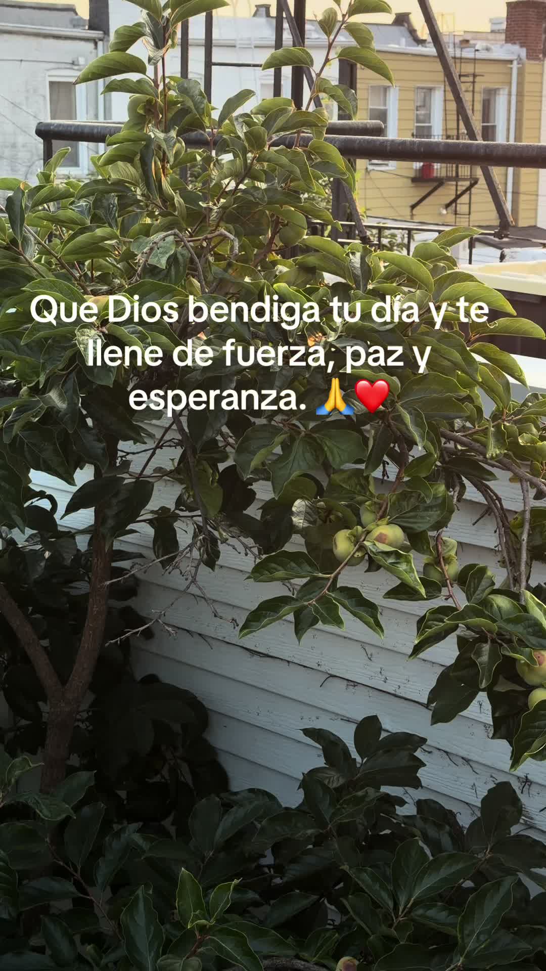 @Emerson Gonz&aacute;lez