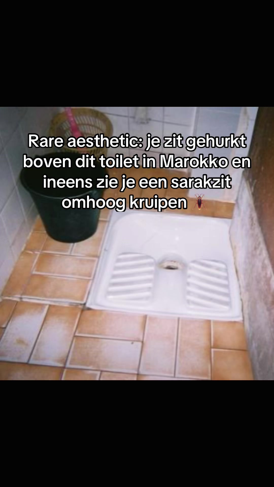 @Mulabc