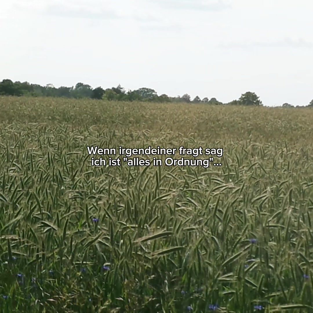 @64lyrics