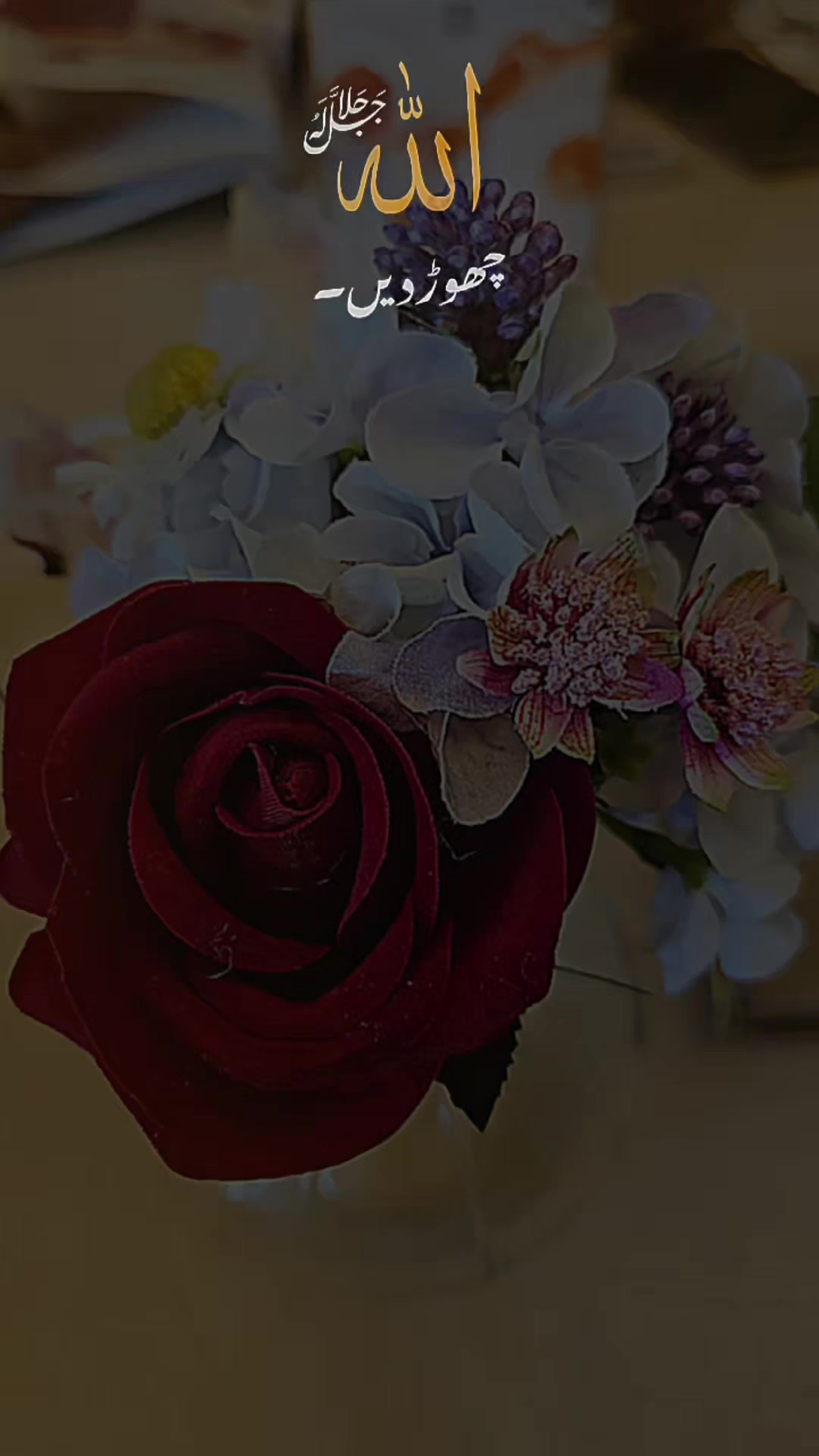 @🦋Aisha🦋
