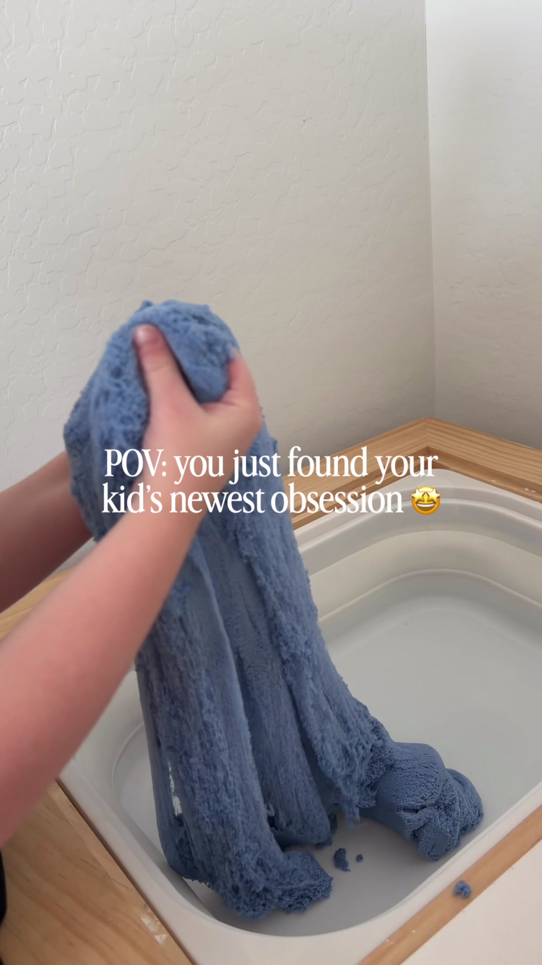 @sydneesaucedo