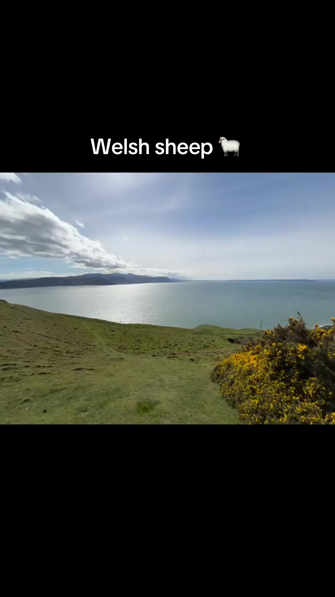 @Ellie
