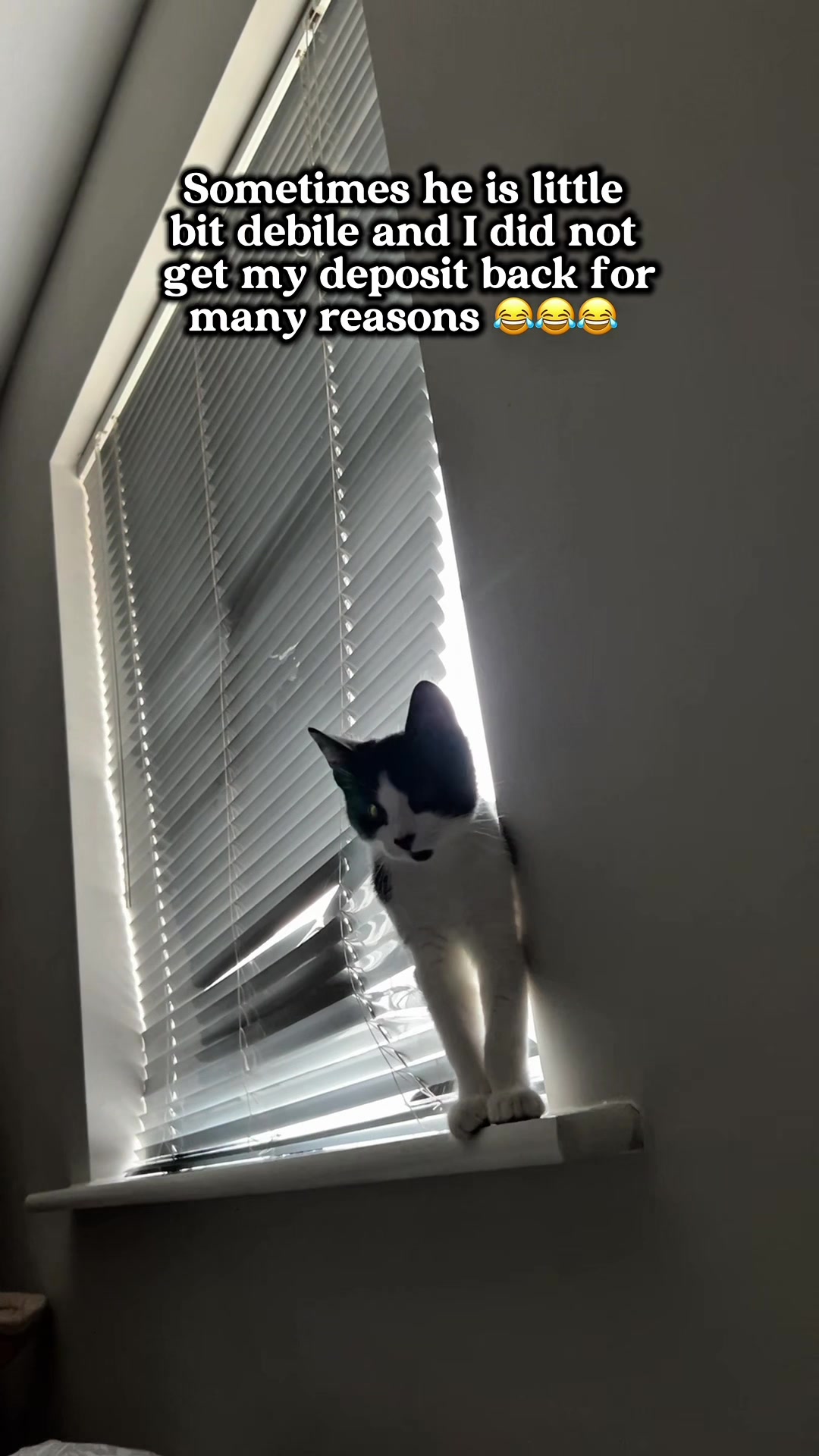@slavic_cat_mum