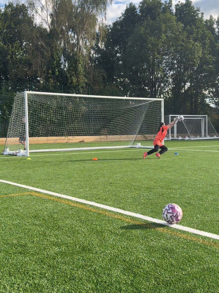 @hodge_gk